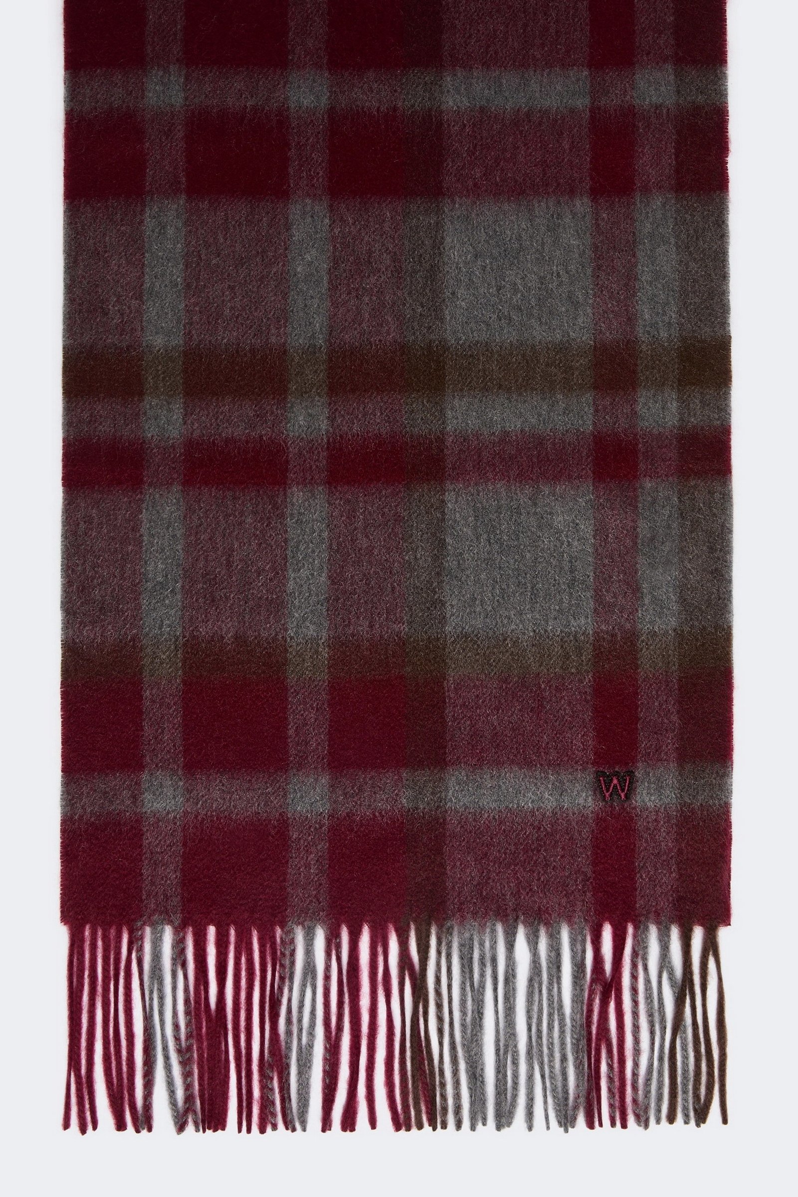 5546015506004-a-catone_risultato