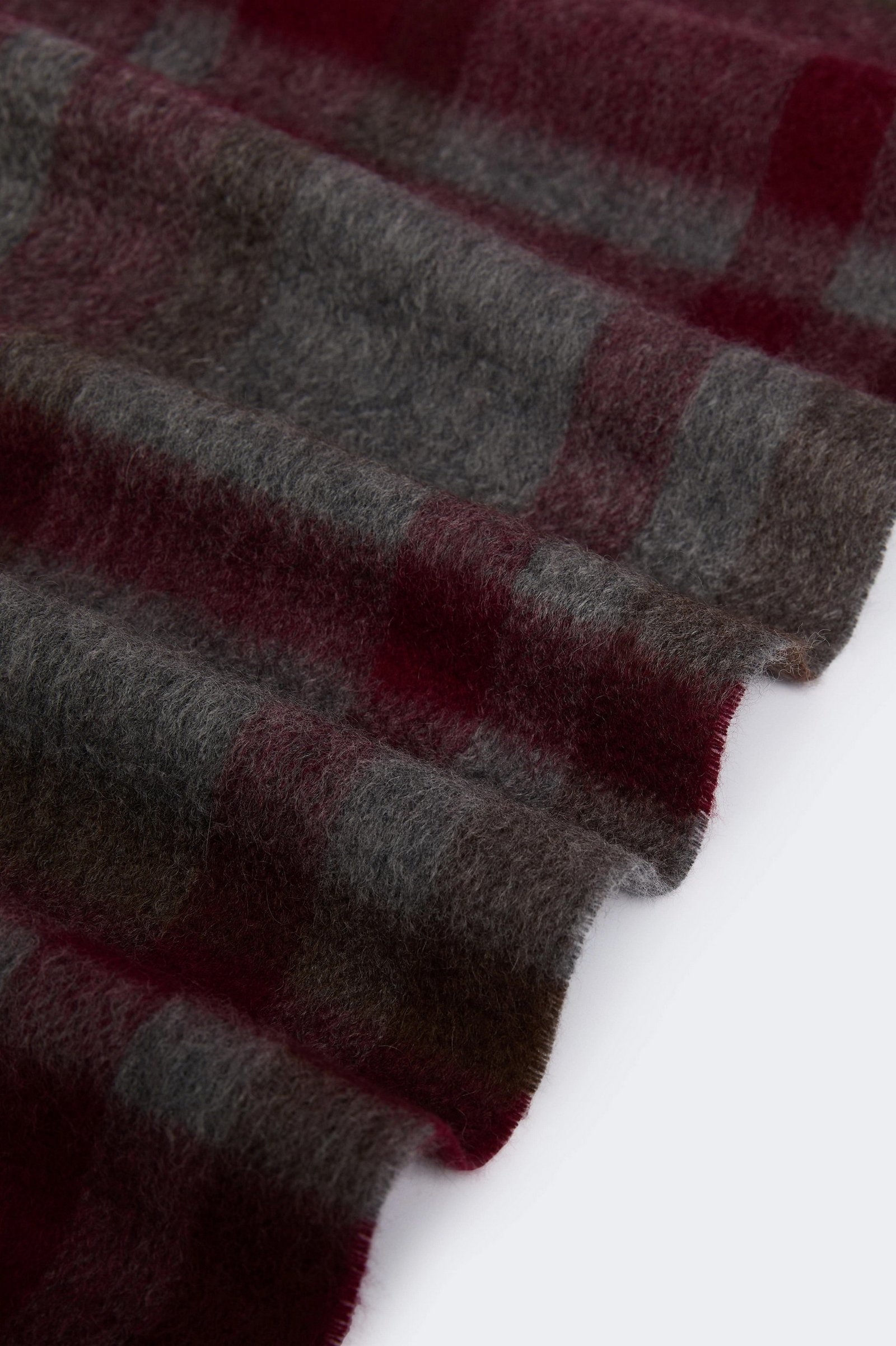 5546015506004-e-catone_risultato